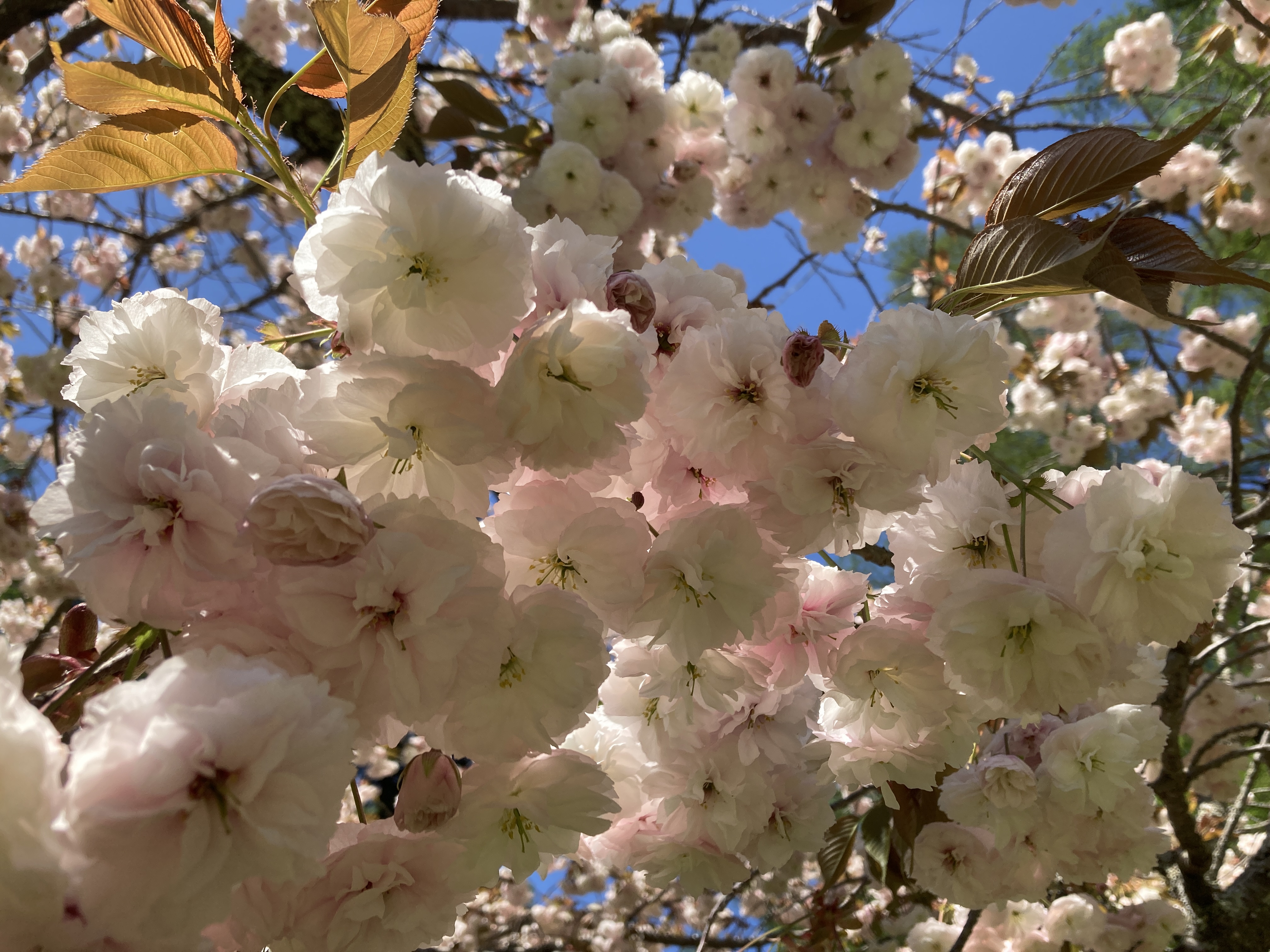 沢山のお客様にご来場いただきました！